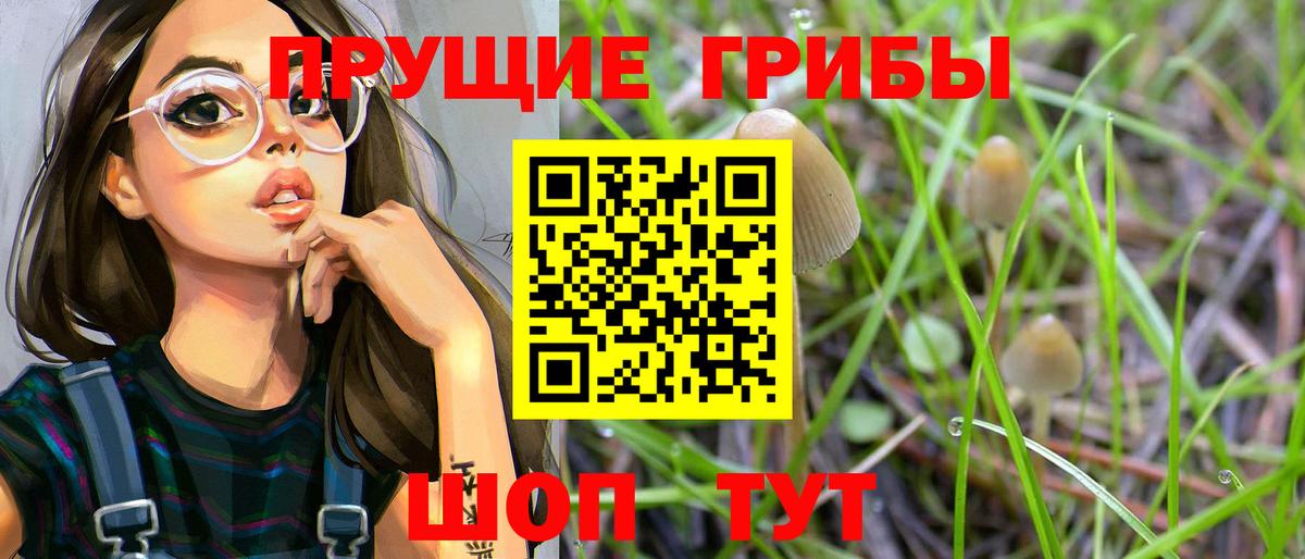Галлюциногенные грибы Psilocybine cubensis Алатырь
