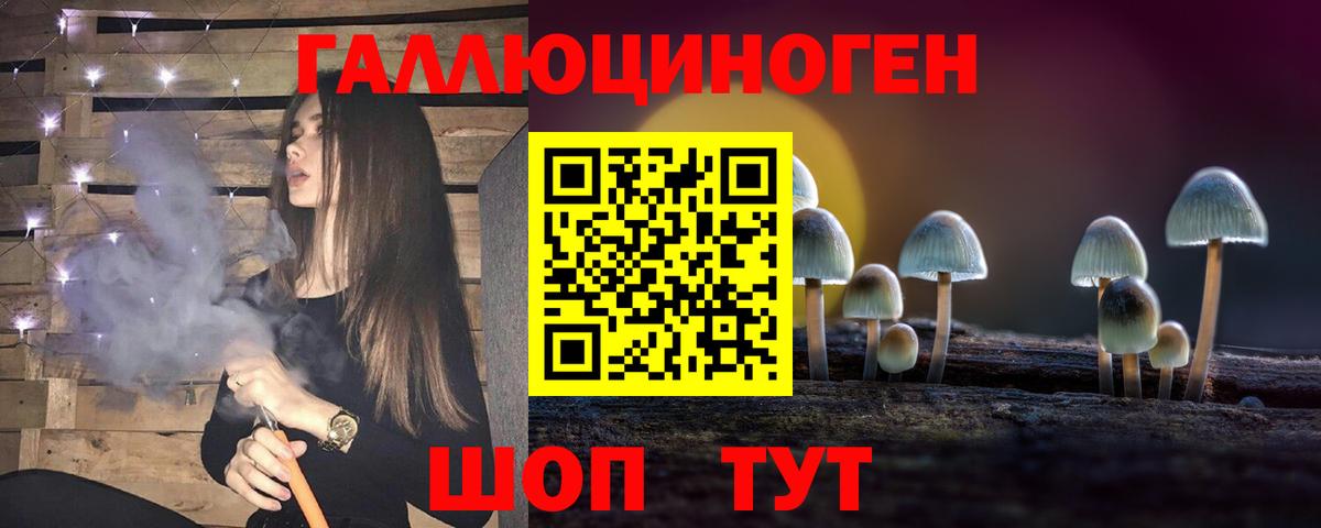 Алатырь  Галлюциногенные грибы Psilocybe  Вход с VPN 